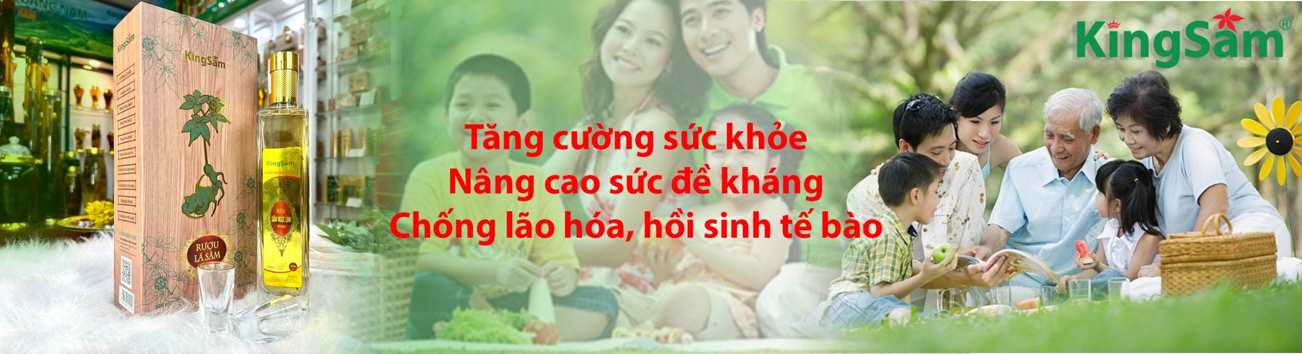 Trà túi lọc Sâm